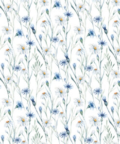 Fototapeta Chrpy a heřmánky