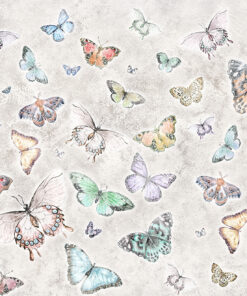 Fototapeta Barevní motýli