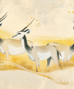 Fototapeta Mír pouště