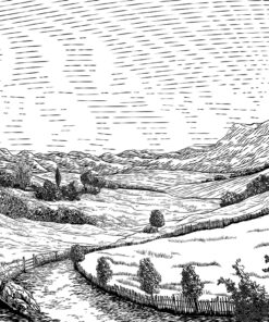 Fototapeta Černobílá krajina