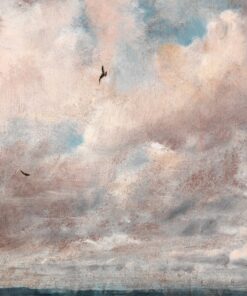 Fototapeta Ptáci v oblacích