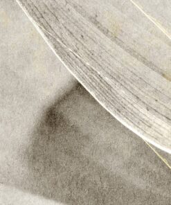 Fototapeta Dotek větru