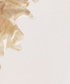 Fototapeta Mávání okvětními lístky