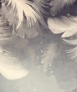 Fototapeta Lehkost peří