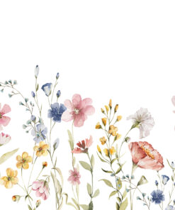 Fototapeta Křehké divoké květiny