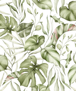 Fototapeta Jemné listy monstery