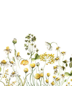 Fototapeta Svoboda květin