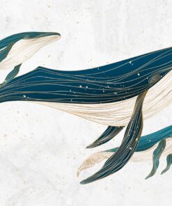 Fototapeta Cesta velryb