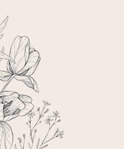 Fototapeta Krása minimalismu