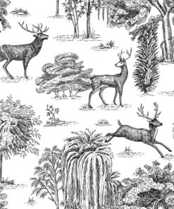 Fototapeta Lesní elegance