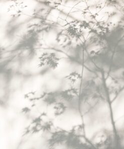 Fototapeta Ticho ve stínu