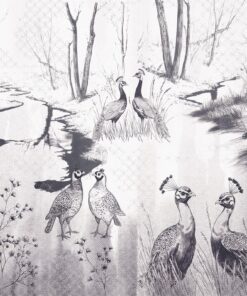 Fototapeta Námluvy ptáků