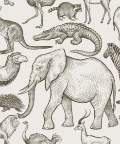 Fototapeta Exotické linie