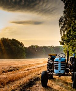 Fototapeta Chvíle v poli