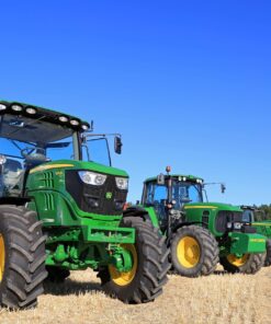 Fototapeta Zelení obři