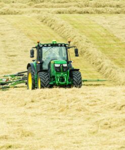 Fototapeta Zelený titán