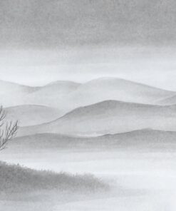 Fototapeta Mlžný klid