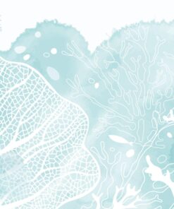 Fototapeta Mořská mlha