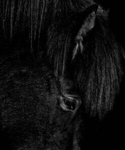 Fototapeta Ticho noci