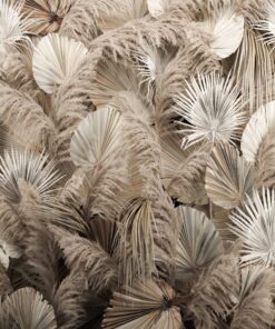 Fototapeta Suchá elegance