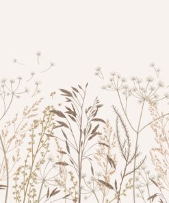 Fototapeta Křehké louční sny