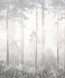 Fototapeta Mlžné ticho