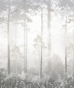 Fototapeta Fototapeta s mlžným lesem
