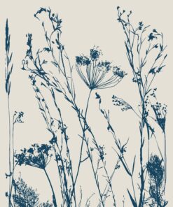 Fototapeta Tajemné louky