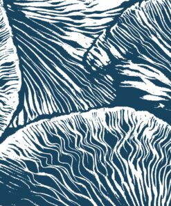 Fototapeta Plynulé lamely