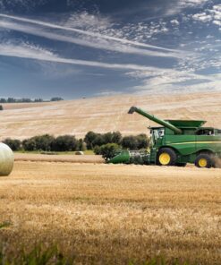 Fototapeta Mír sklizně