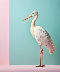 Fototapeta Pastelový jeřáb elegance