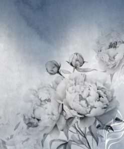 Fototapeta Romantická pivoňka