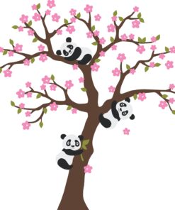 Fototapeta Země pandího květu