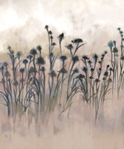 Fototapeta Mlžná louka za úsvitu