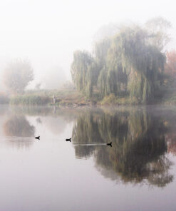 Fototapeta Mlžné jezero