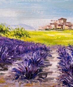 Fototapeta Levandule v Provence
