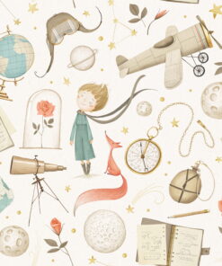 Fototapeta Malý princ a růže